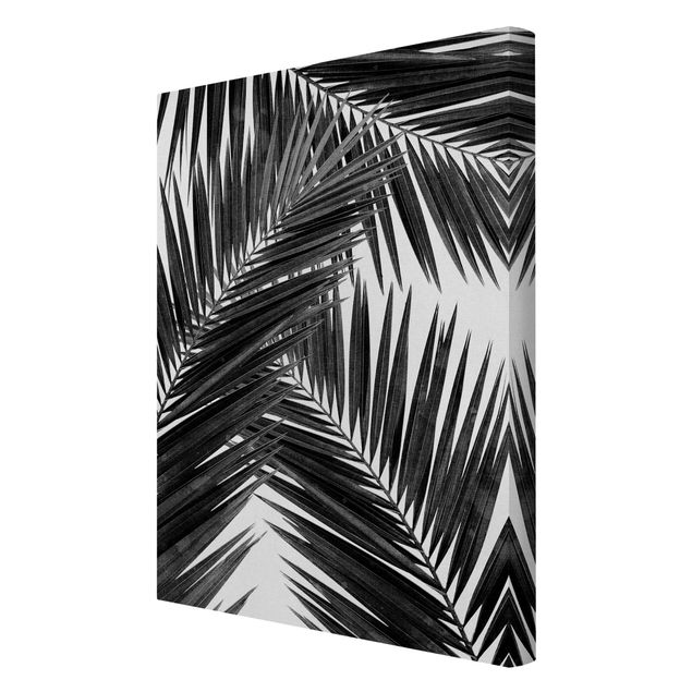 Canvas schilderijen View Through Palm Leaves Black And White