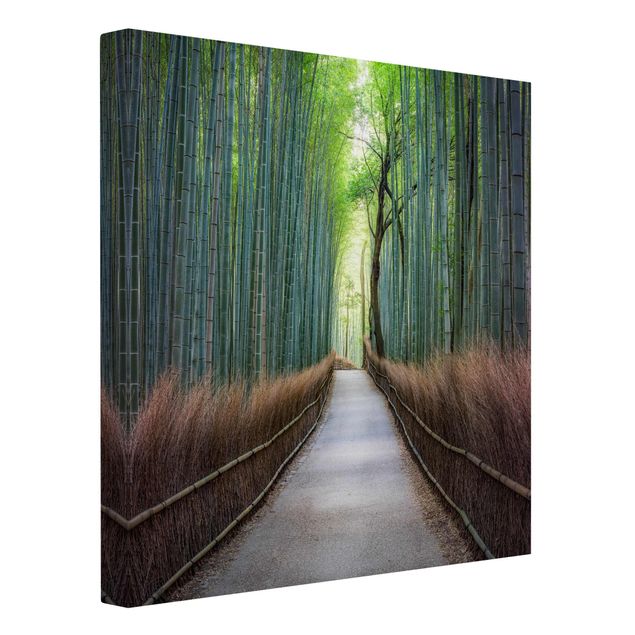 Canvas schilderijen The Path Through The Bamboo