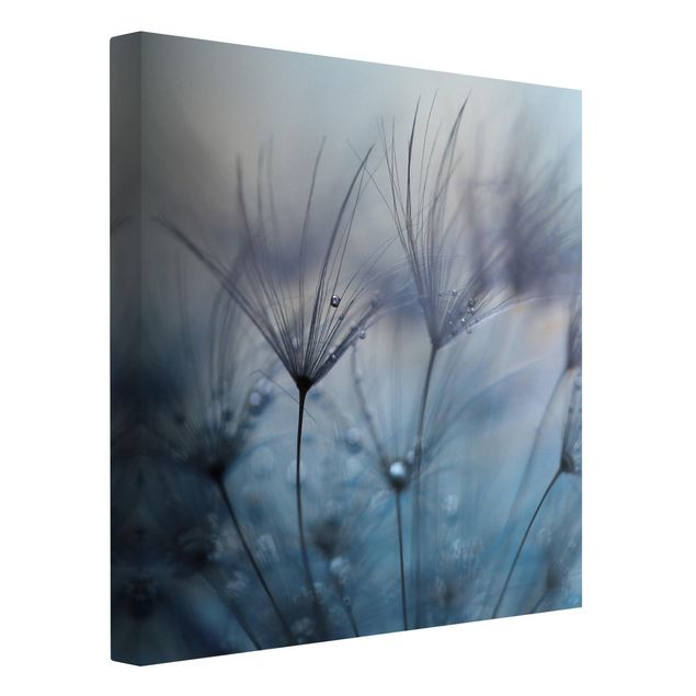 Canvas schilderijen Blue Feathers In The Rain