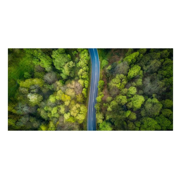 Canvas schilderijen Aerial View - Asphalt Road In The Forest