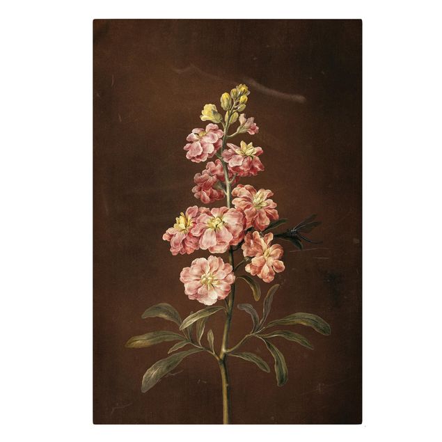 Canvas schilderijen Barbara Regina Dietzsch - A Light Pink Gillyflower