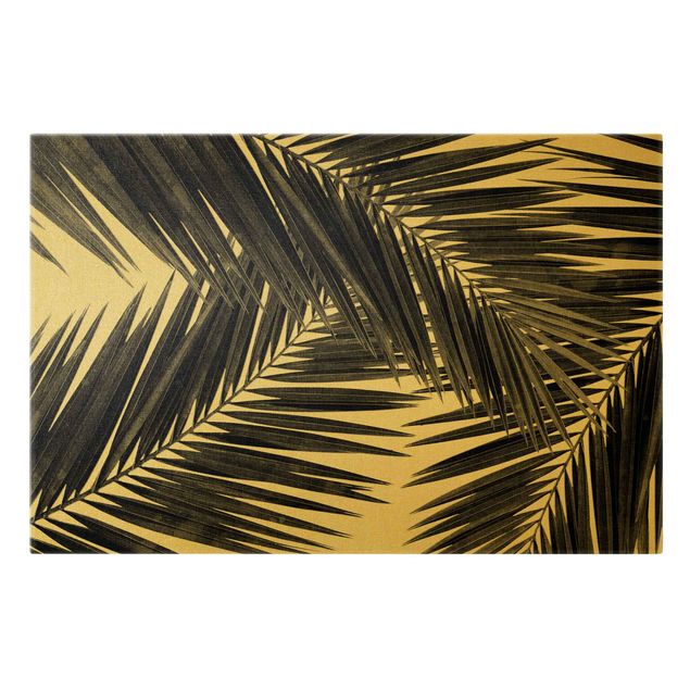 Canvas schilderijen - Goud View Over Palm Leaves Black And White