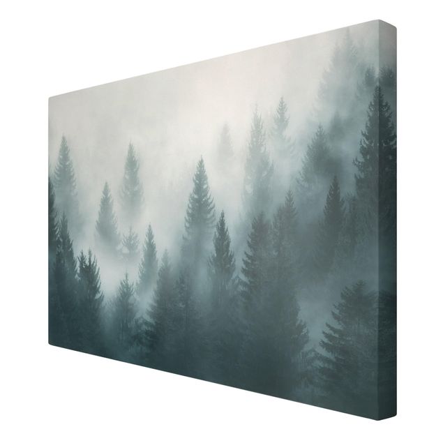 Canvas schilderijen Coniferous Forest In Fog