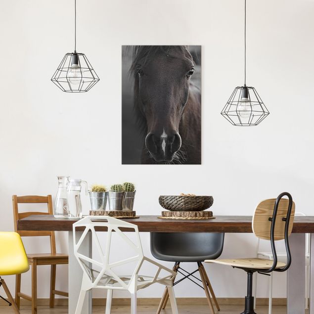 Canvas schilderijen Dark Horse