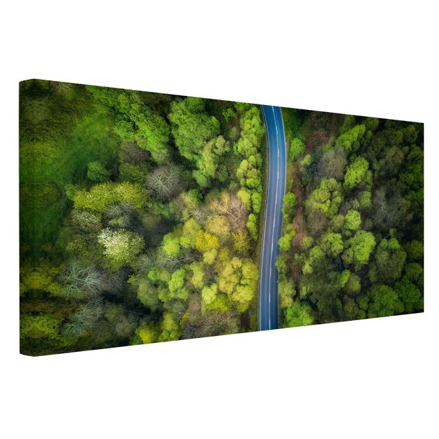 Canvas schilderijen Aerial View - Asphalt Road In The Forest