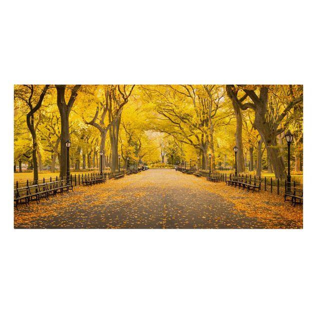 Canvas schilderijen Autumn In Central Park