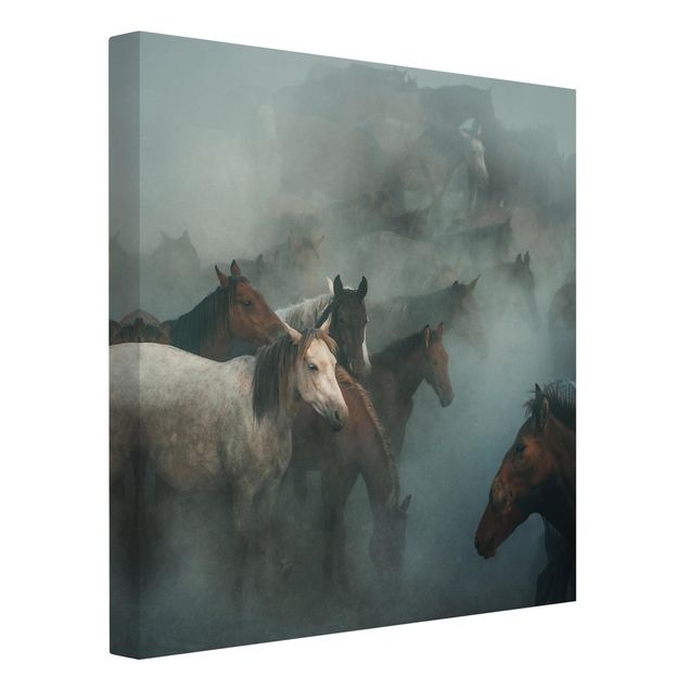Canvas schilderijen Wild Horses