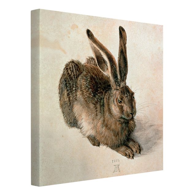 Canvas schilderijen Albrecht Dürer - Young Hare