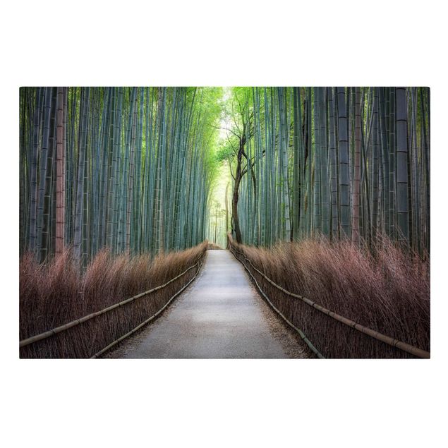 Canvas schilderijen The Path Through The Bamboo