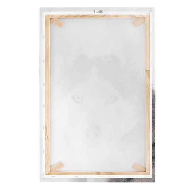 Canvas schilderijen Husky Portrait