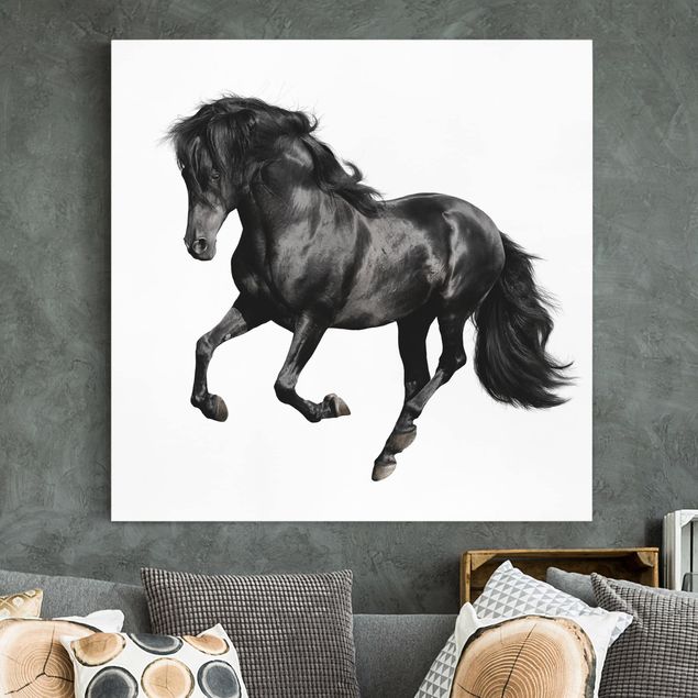 Canvas schilderijen Arabian Stallion