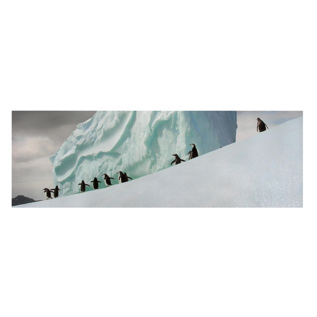 Canvas schilderijen Arctic Penguins
