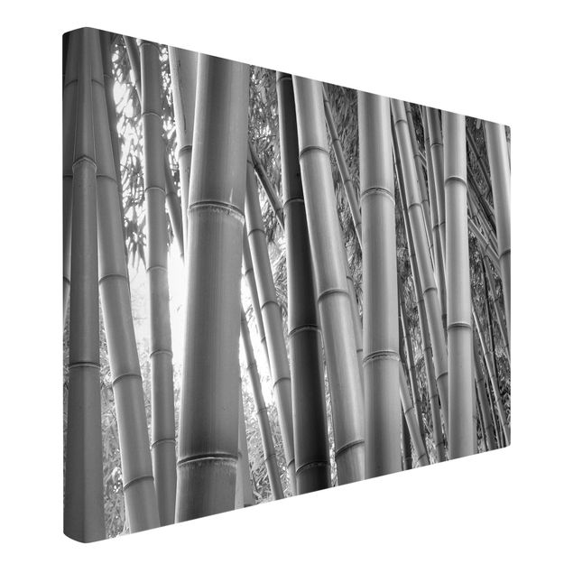 Canvas schilderijen Bamboo
