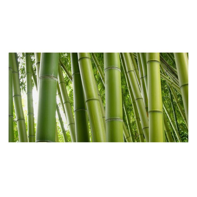 Canvas schilderijen Bamboo Trees