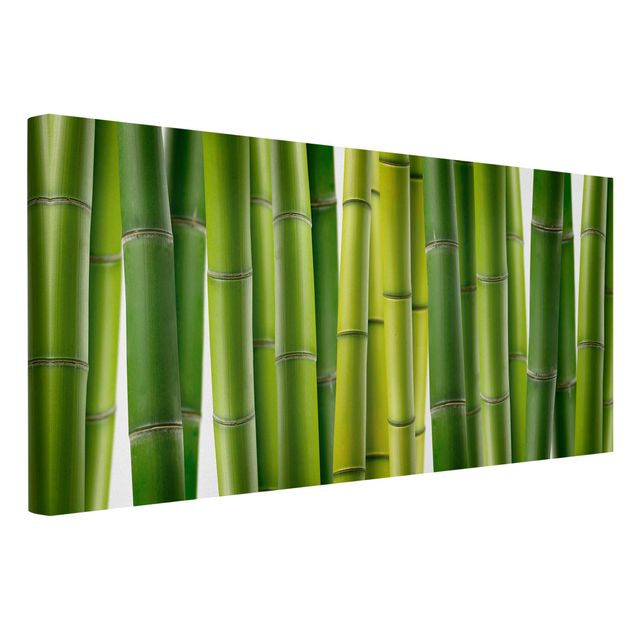 Canvas schilderijen Bamboo Plants