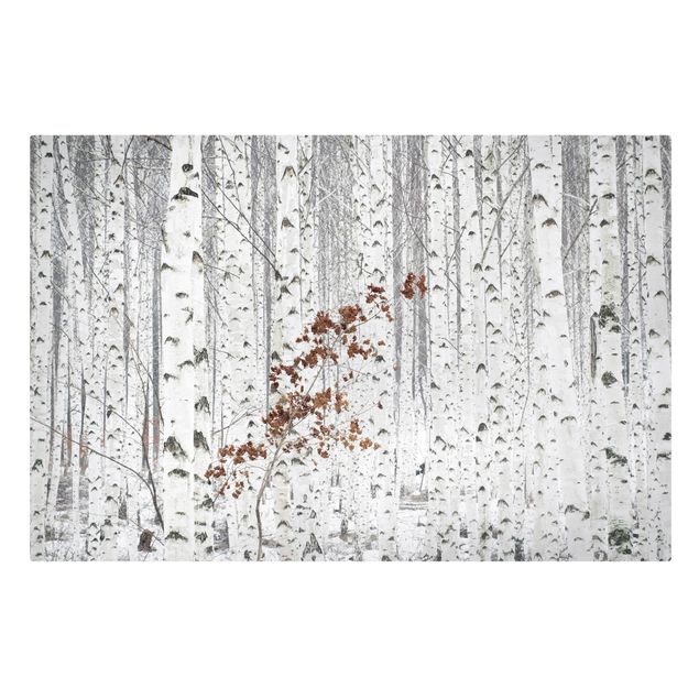Canvas schilderijen Birch Trees In Autumn