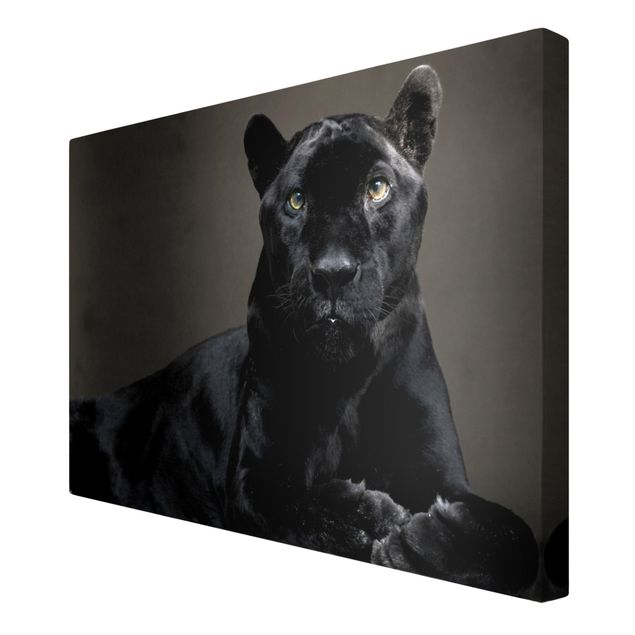 Canvas schilderijen Black Puma