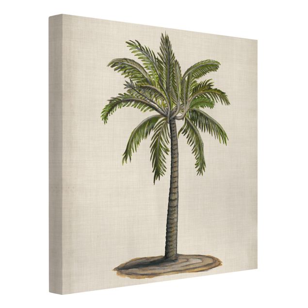 Canvas schilderijen British Palms I