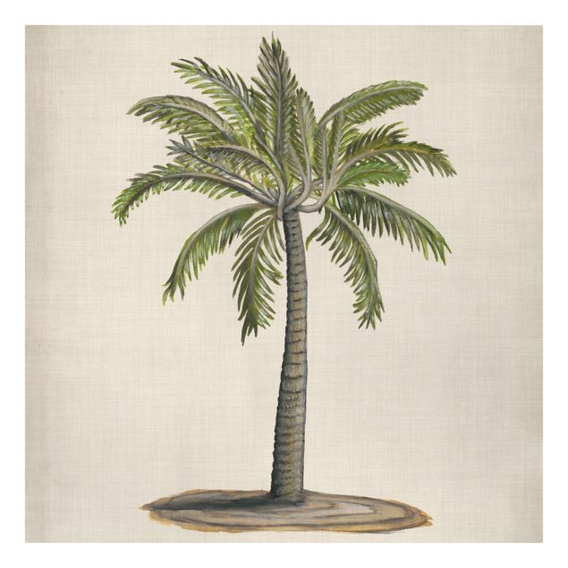 Canvas schilderijen British Palms I