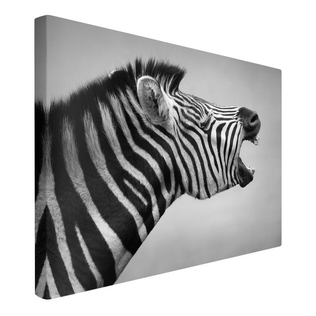 Canvas schilderijen Roaring Zebra ll