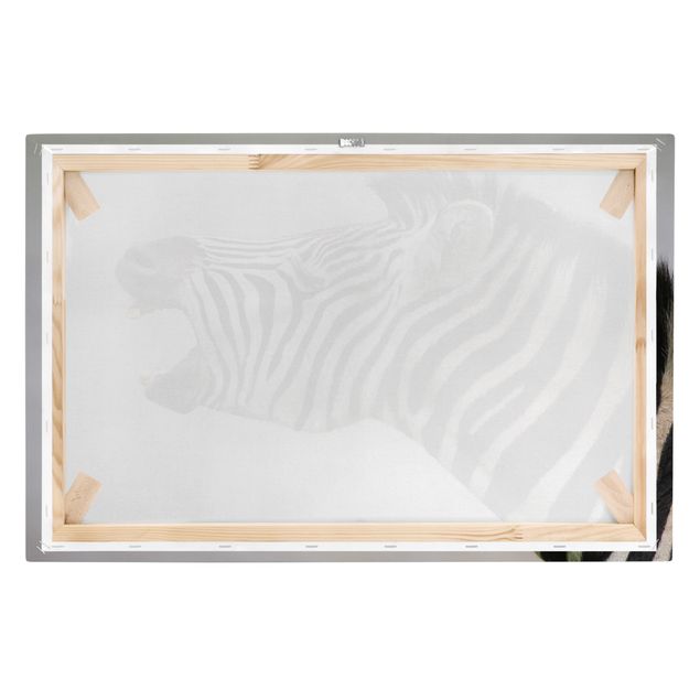 Canvas schilderijen Roaring Zebra