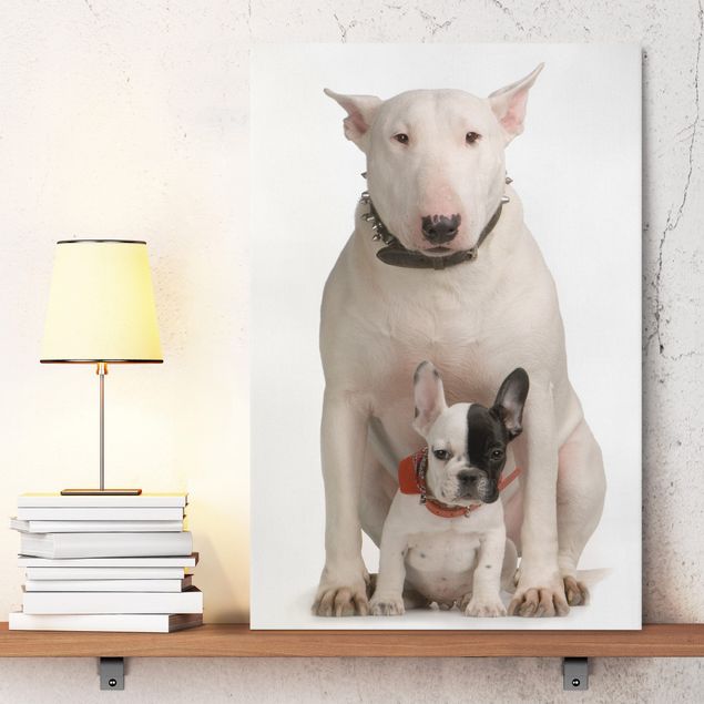 Canvas schilderijen Bull Terrier and Friend