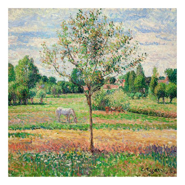Canvas schilderijen Camille Pissarro - Meadow with Grey Horse, Eragny