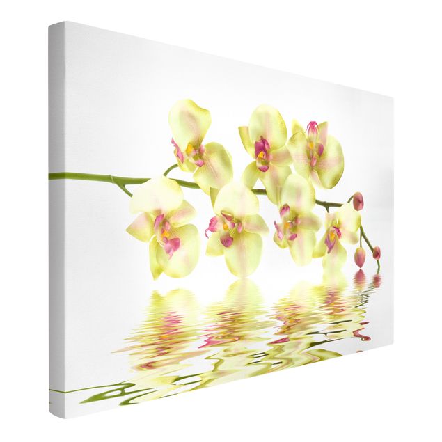 Canvas schilderijen Dreamy Orchid Waters