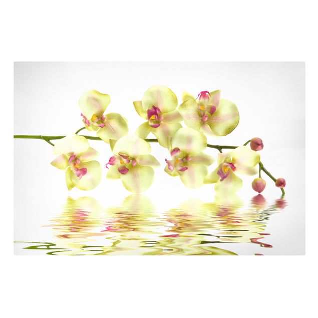 Canvas schilderijen Dreamy Orchid Waters