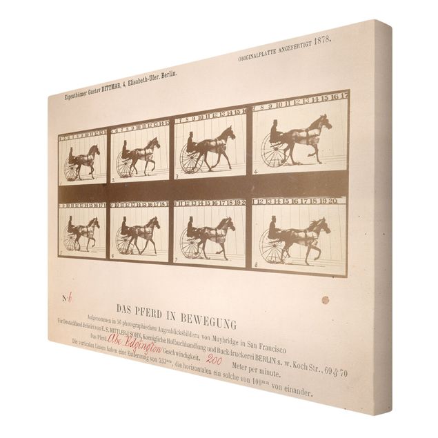 Canvas schilderijen Eadweard Muybridge - The horse in Motion