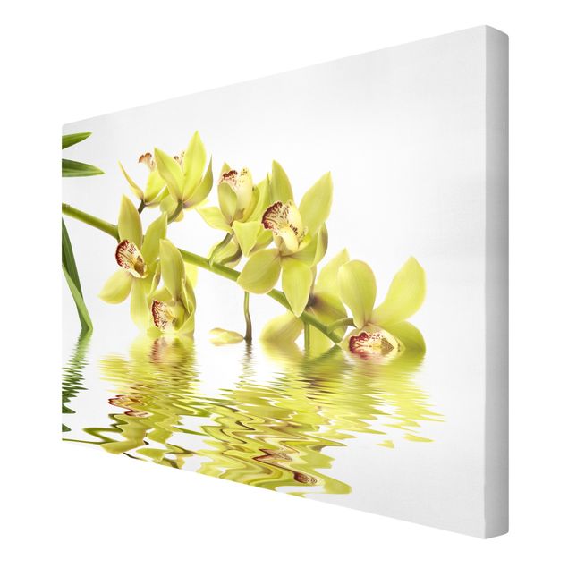 Canvas schilderijen Elegant Orchid Waters