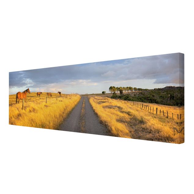 Canvas schilderijen Field Road And Horse In Evening Sun