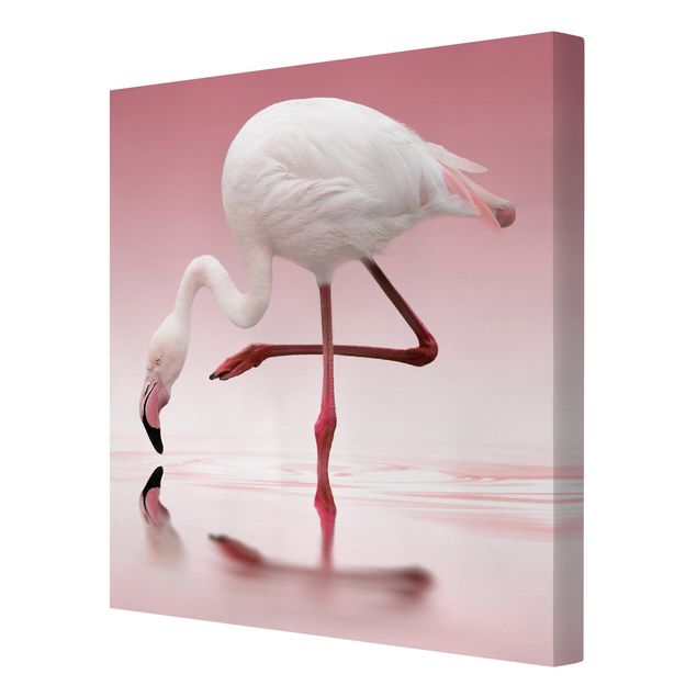 Canvas schilderijen Flamingo Dance