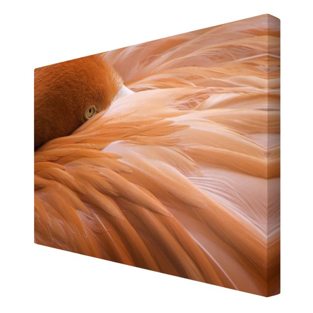 Canvas schilderijen Flamingo Feathers