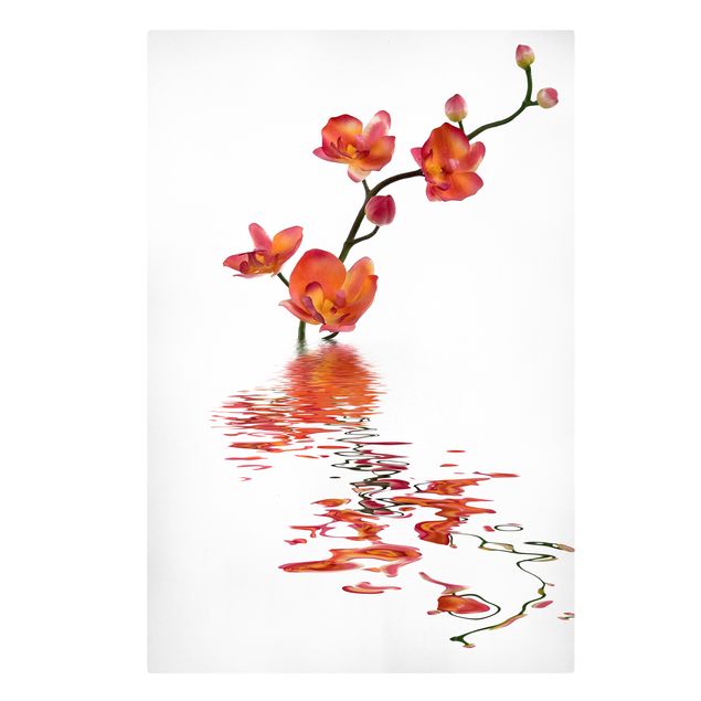Canvas schilderijen Flamy Orchid Waters