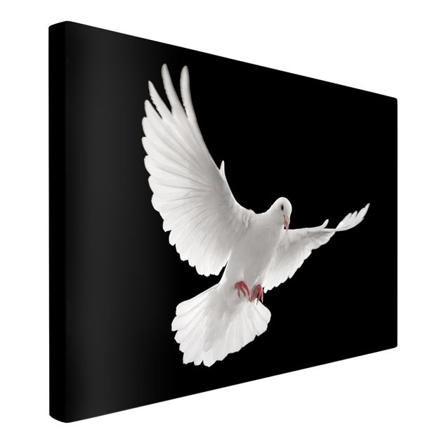 Canvas schilderijen Dove Of Peace