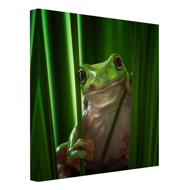 Canvas schilderijen Merry Frog