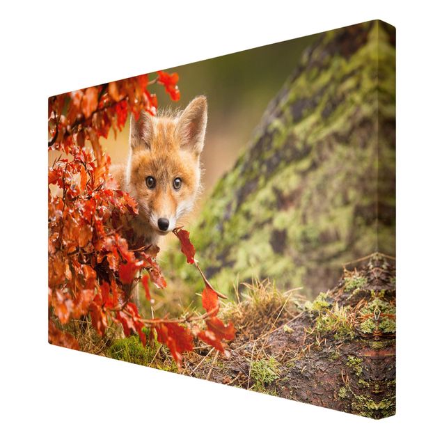 Canvas schilderijen Fox In Autumn