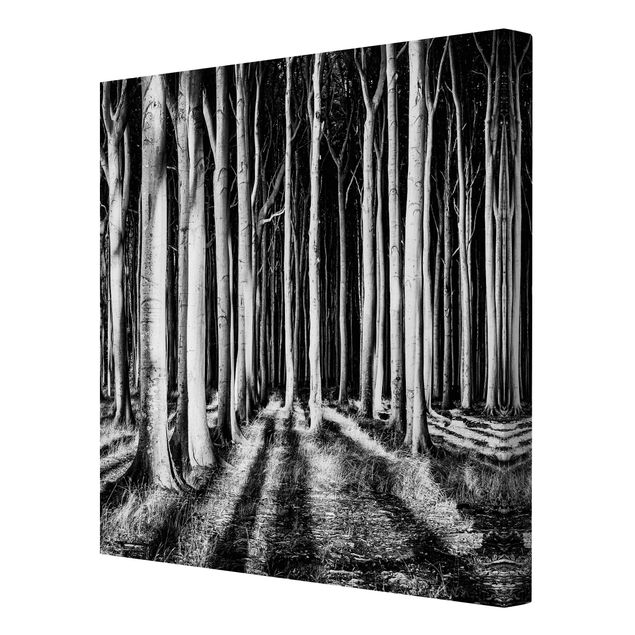 Canvas schilderijen Spooky Forest