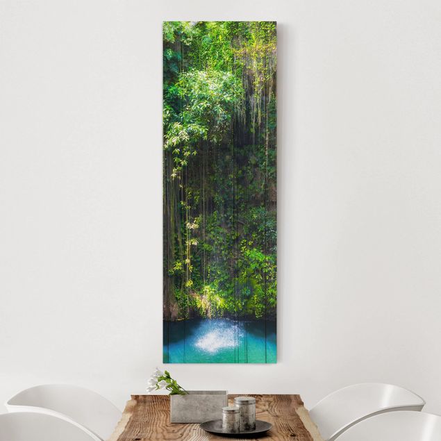 Canvas schilderijen Hanging Roots Of Ik-Kil Cenote