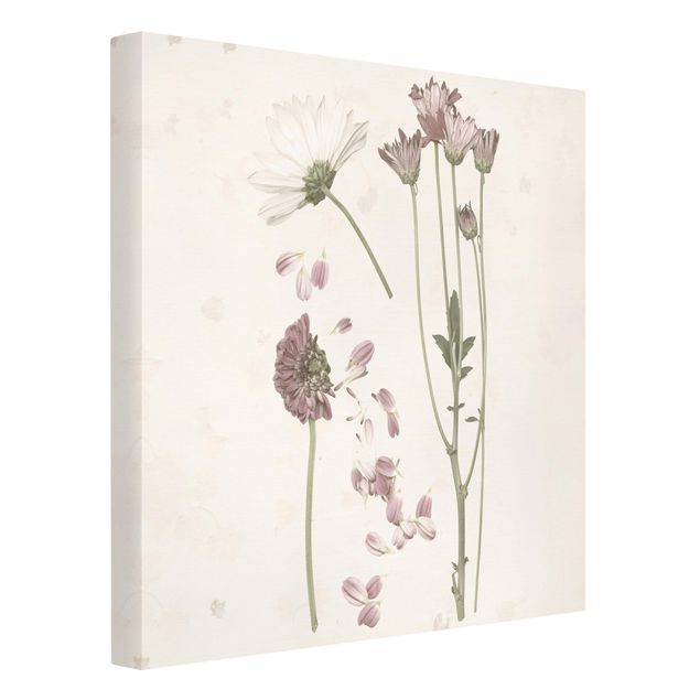 Canvas schilderijen Herbarium In Pink II