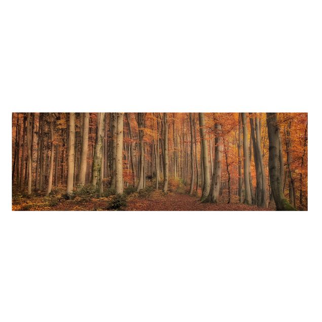 Canvas schilderijen Autumn Stroll