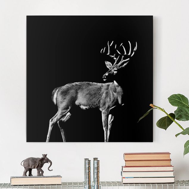 Canvas schilderijen Deer In The Dark