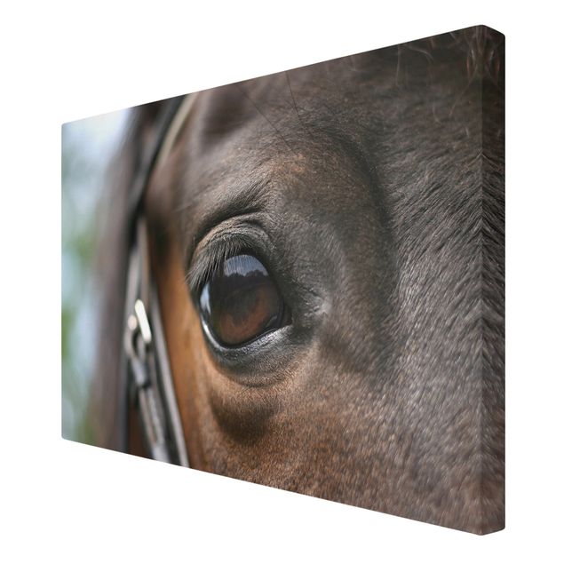 Canvas schilderijen Horse Eye