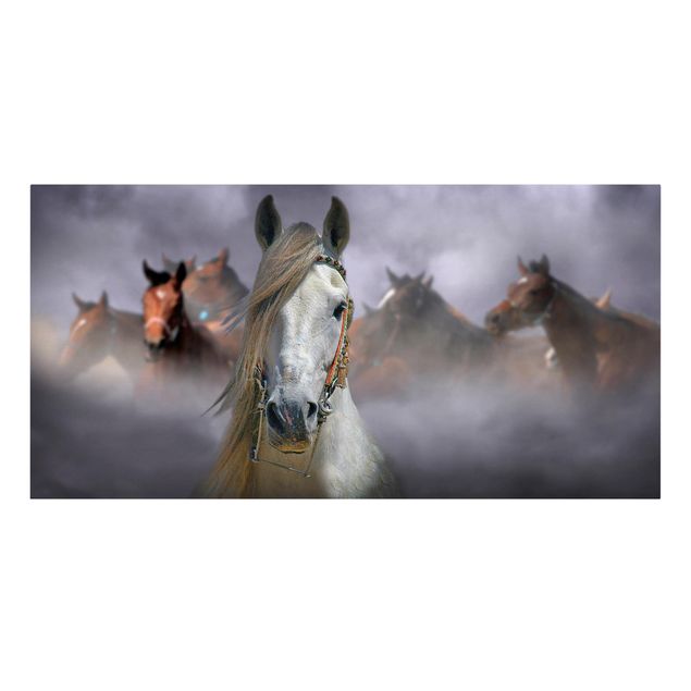 Canvas schilderijen Horses in the Dust