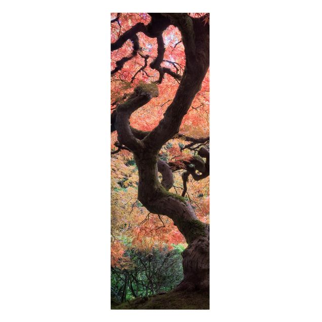 Canvas schilderijen Japanese Garden