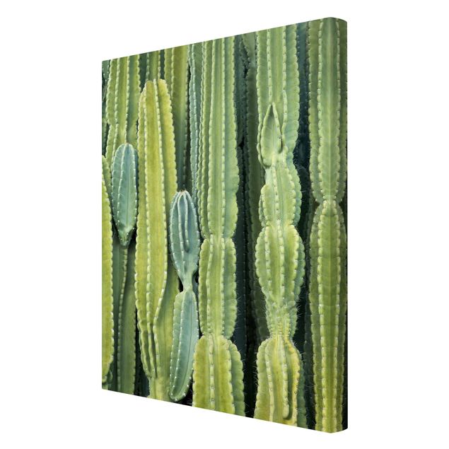 Canvas schilderijen Cactus Wall
