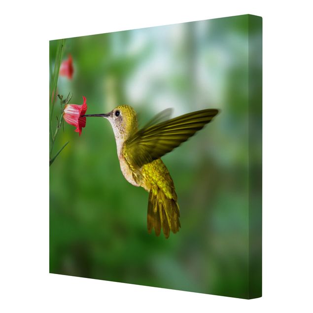 Canvas schilderijen Hummingbird And Flower