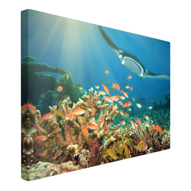 Canvas schilderijen Coral reef