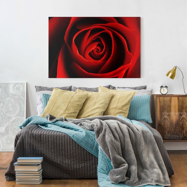Canvas schilderijen Lovely Rose